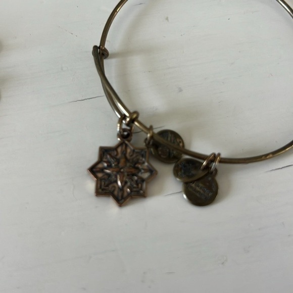 Lot of 4 Alex and Ani Bracelets Dragonfly Team USA Healing Love Arrow Feather‎ - Picture 5 of 7